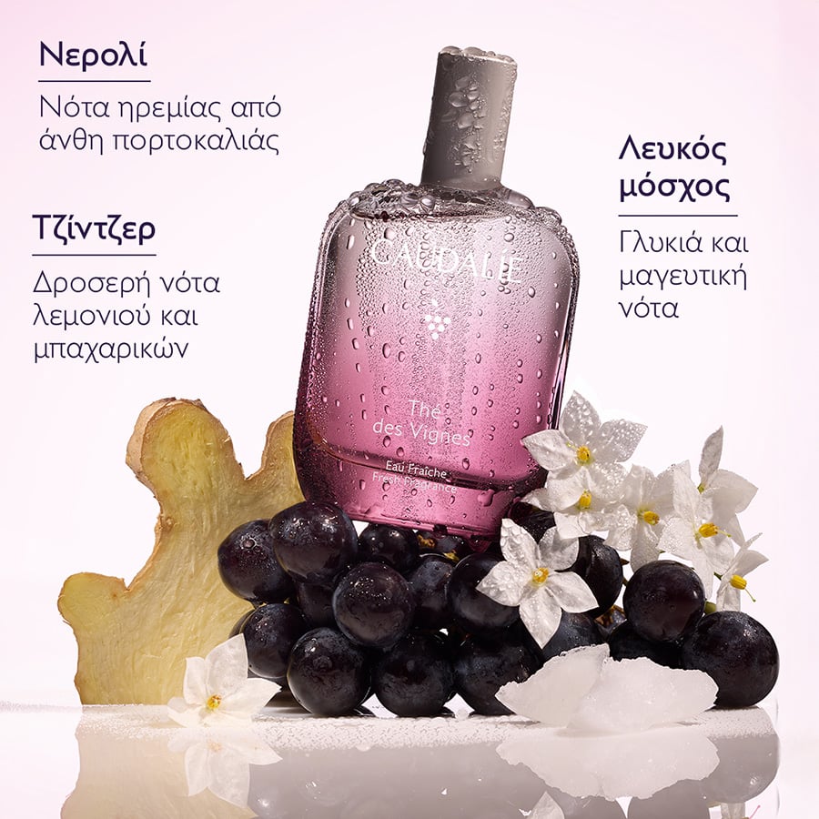 CAUDALIE - THE DES VIGNES Eau Fraiche - 50ml