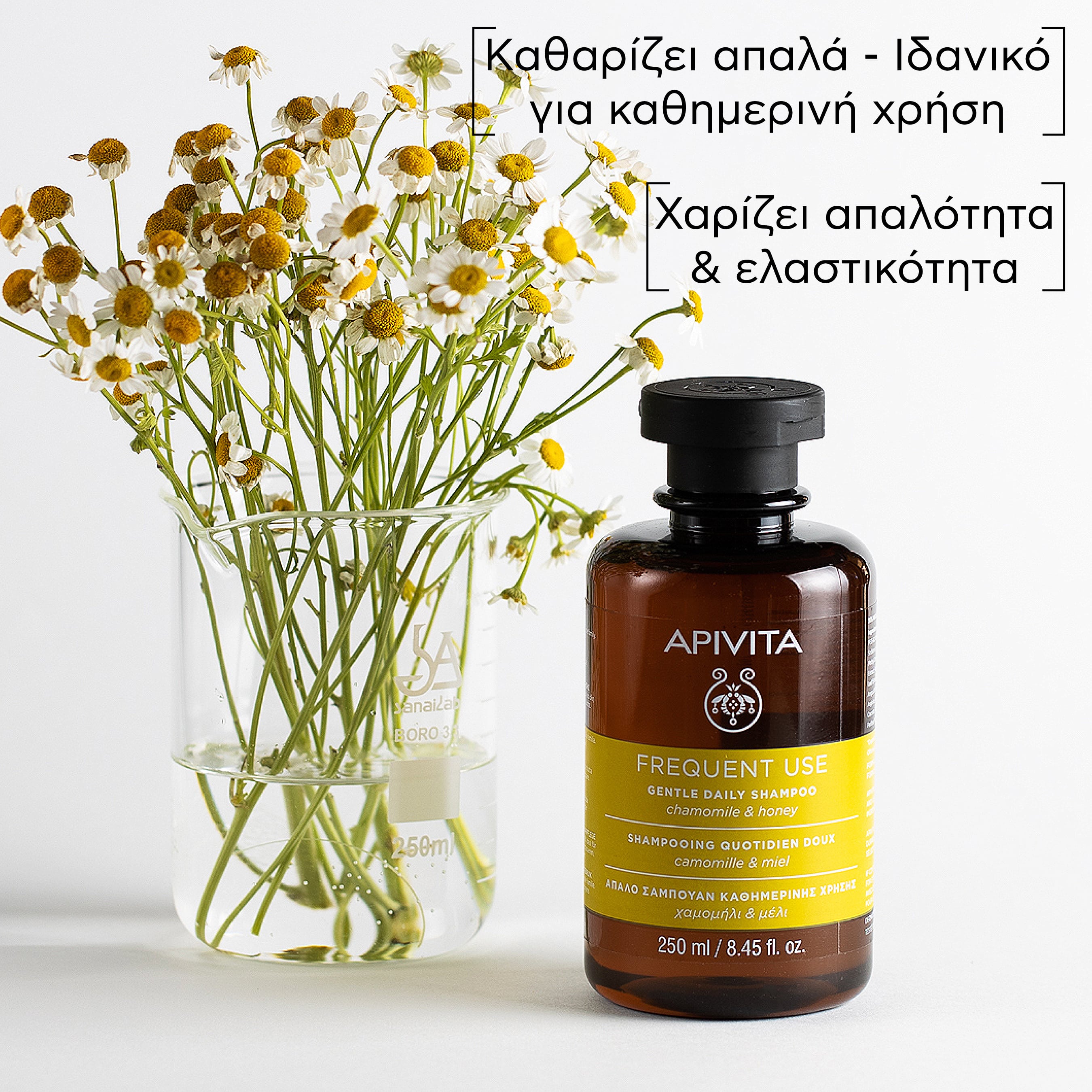 APIVITA - Απαλό Σαμπουάν Καθημερινής Χρήσης με Χαμομήλι & Μέλι - 250ml