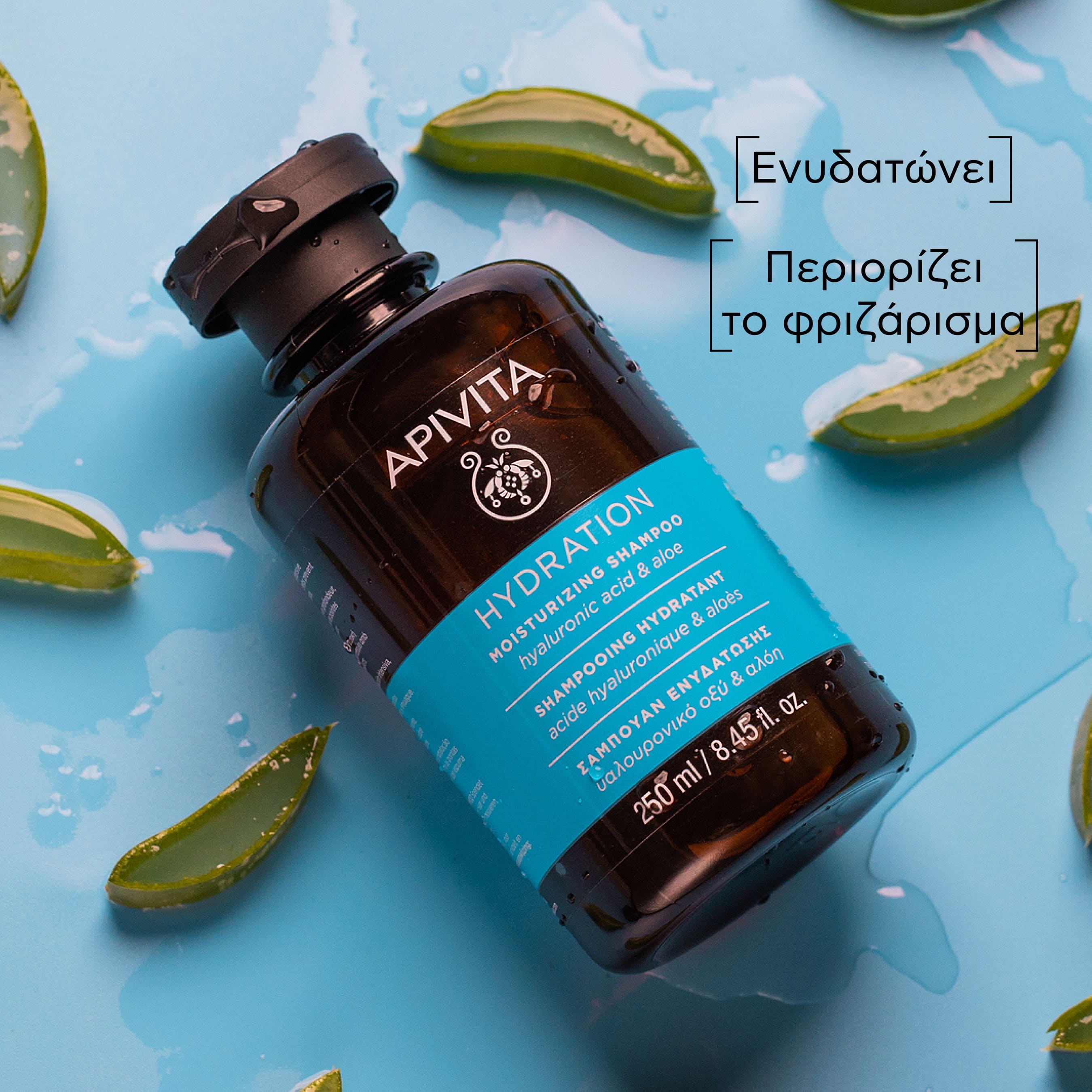 APIVITA - HYDRATION Σαμπουάν Ενυδάτωσης με Υαλουρονικό Οξύ & Αλόη - 250ml