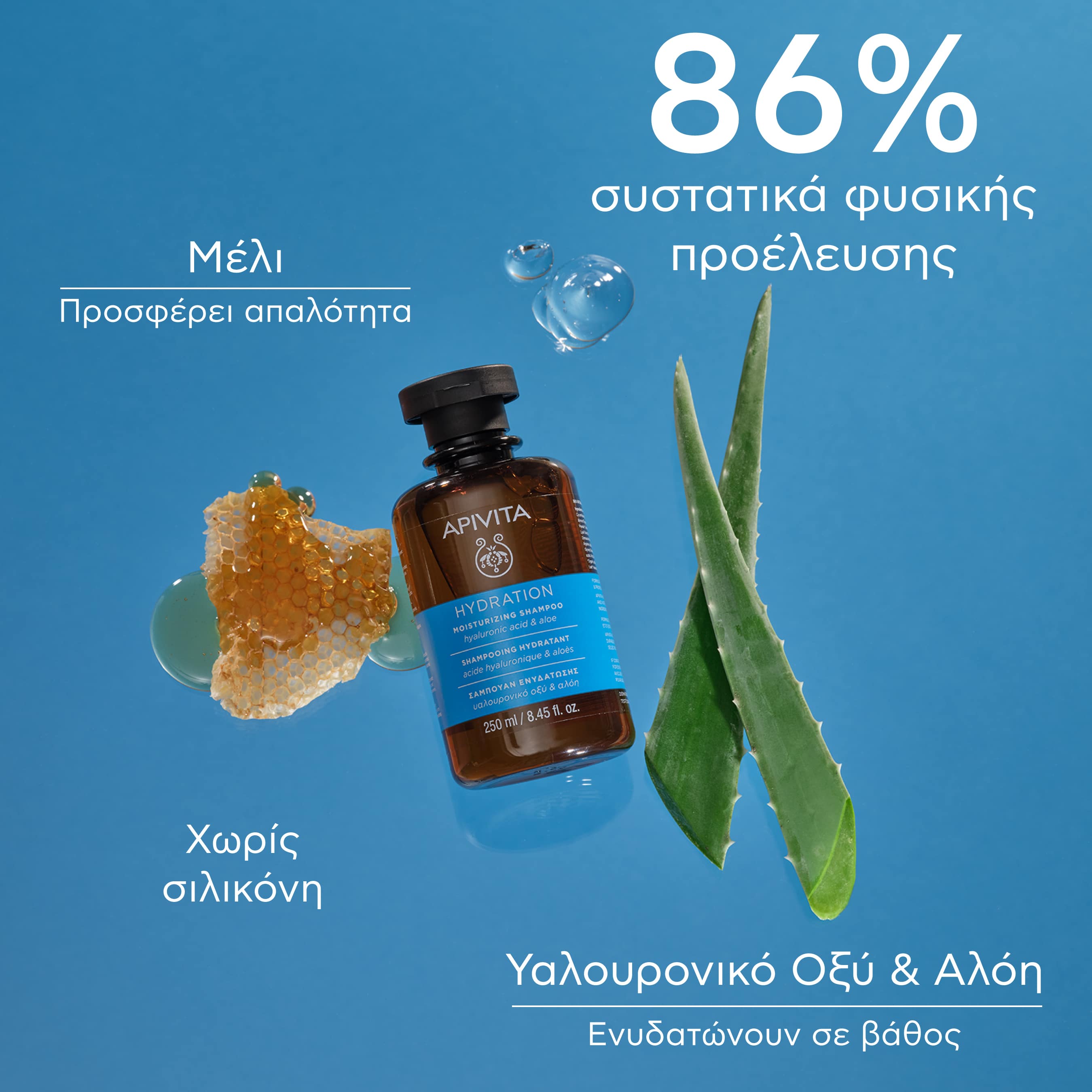 APIVITA - HYDRATION Σαμπουάν Ενυδάτωσης με Υαλουρονικό Οξύ & Αλόη - 250ml