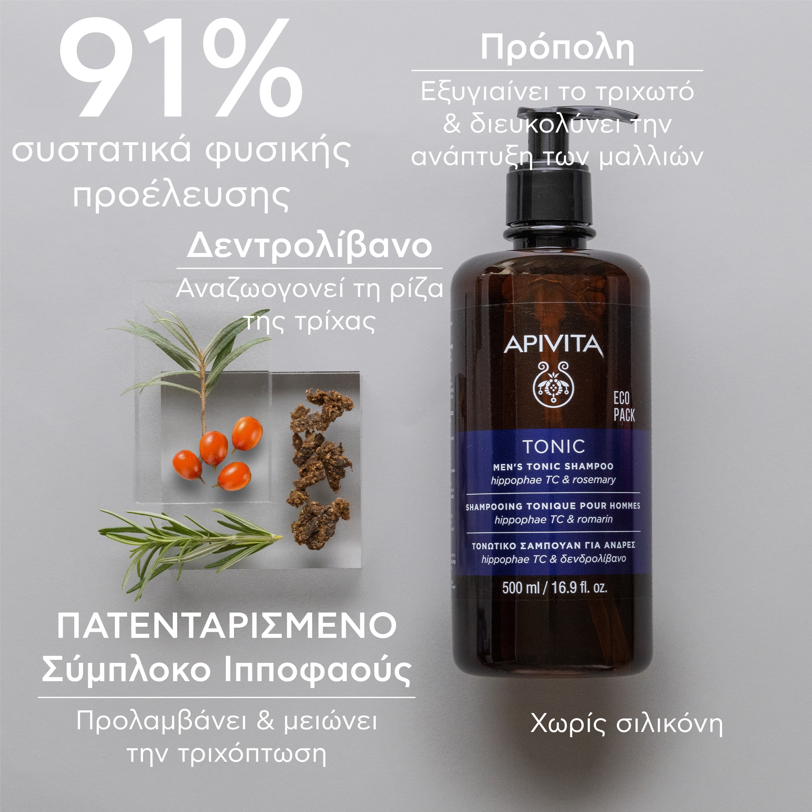 APIVITA - ECO PACK Τονωτικό Σαμπουάν κατά της Τριχόπτωσης για Άνδρες με Hippophae TC & Δενδρολίβανο - 500ml