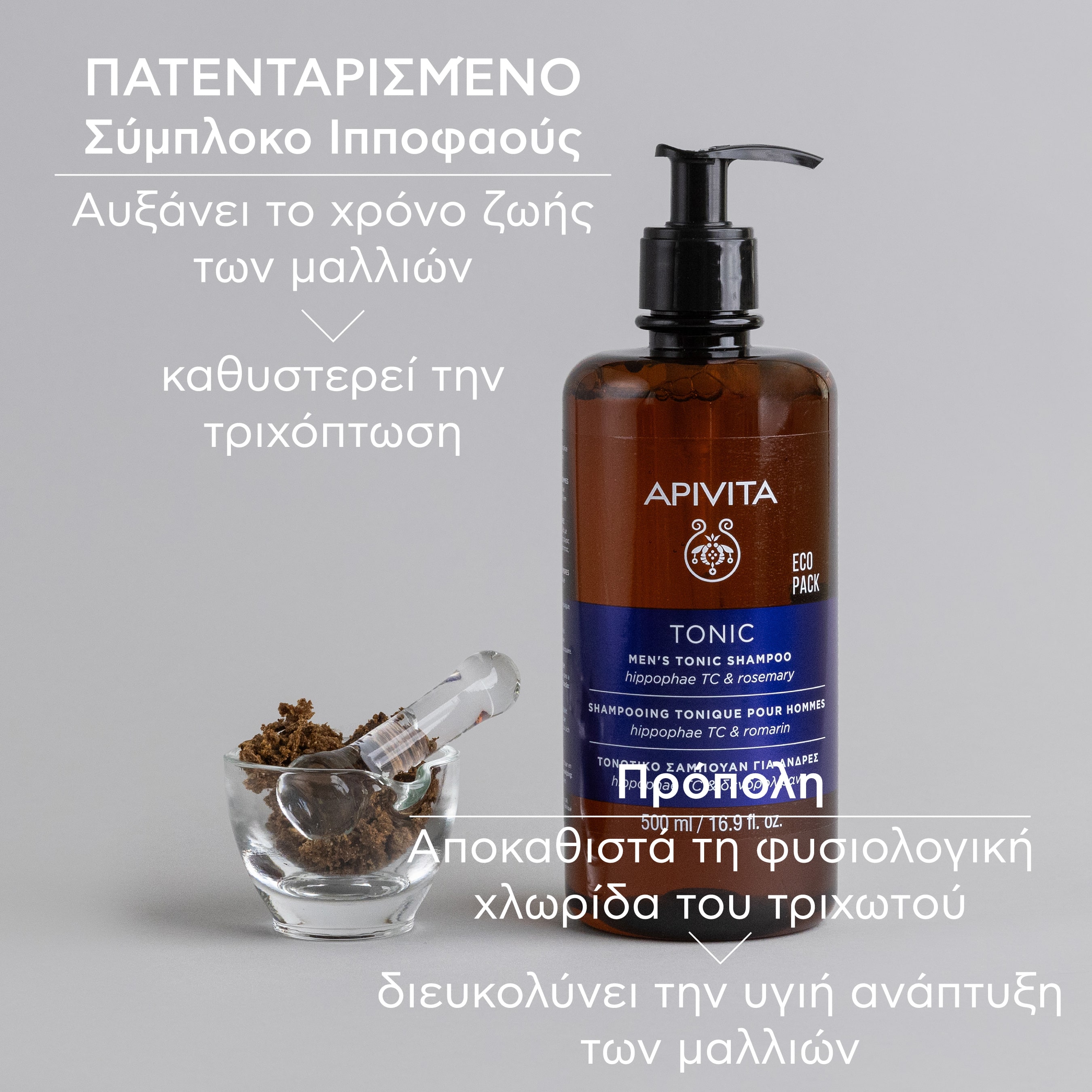 APIVITA - ECO PACK Τονωτικό Σαμπουάν κατά της Τριχόπτωσης για Άνδρες με Hippophae TC & Δενδρολίβανο - 500ml