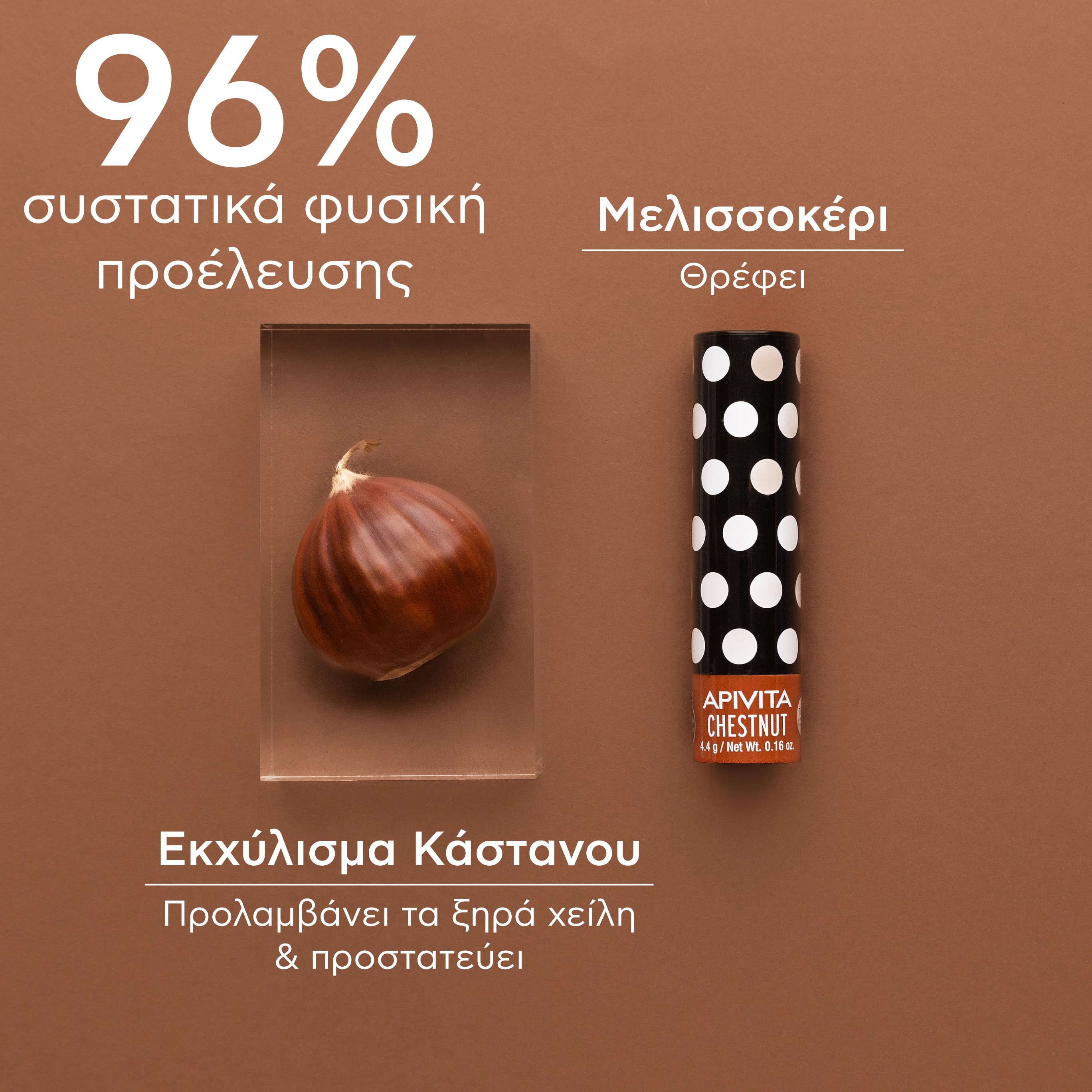 APIVITA - LIP CARE με Κάστανο - 4,4gr