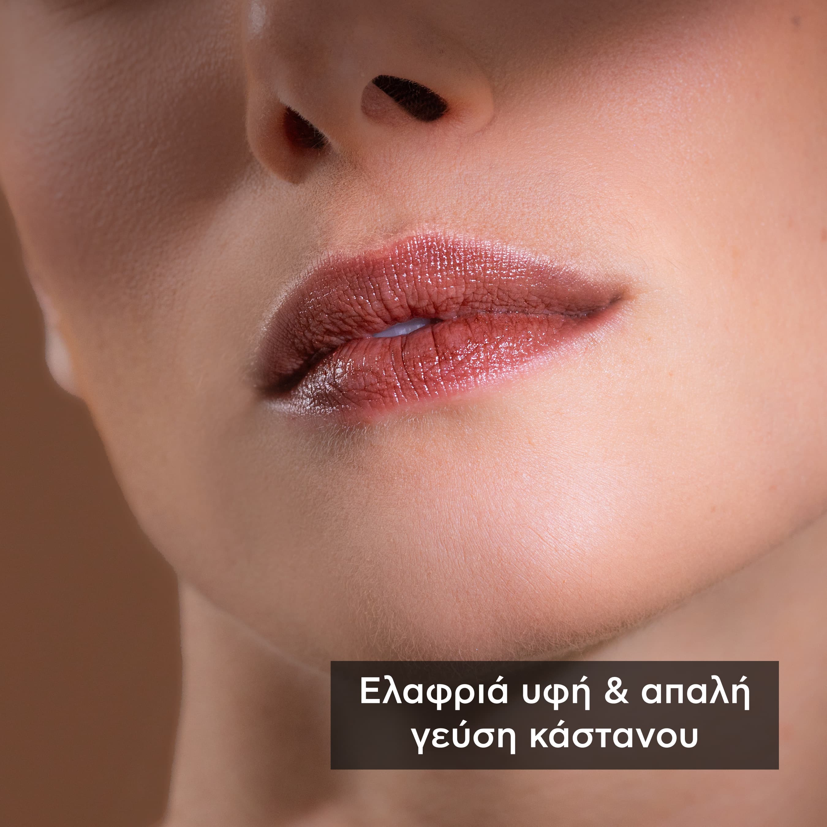 APIVITA - LIP CARE με Κάστανο - 4,4gr