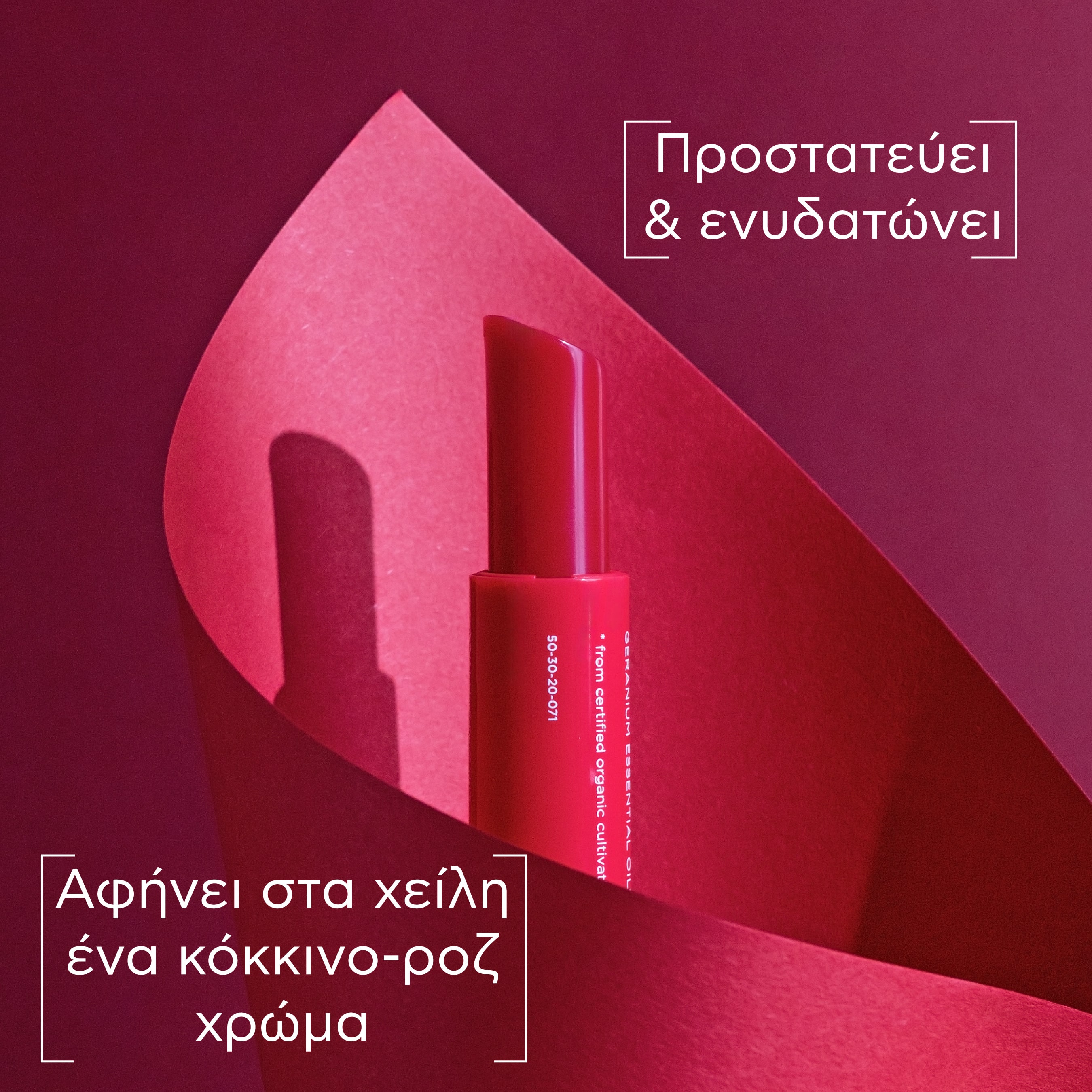 APIVITA - LIP CARE με Ρόδι - 4,4gr