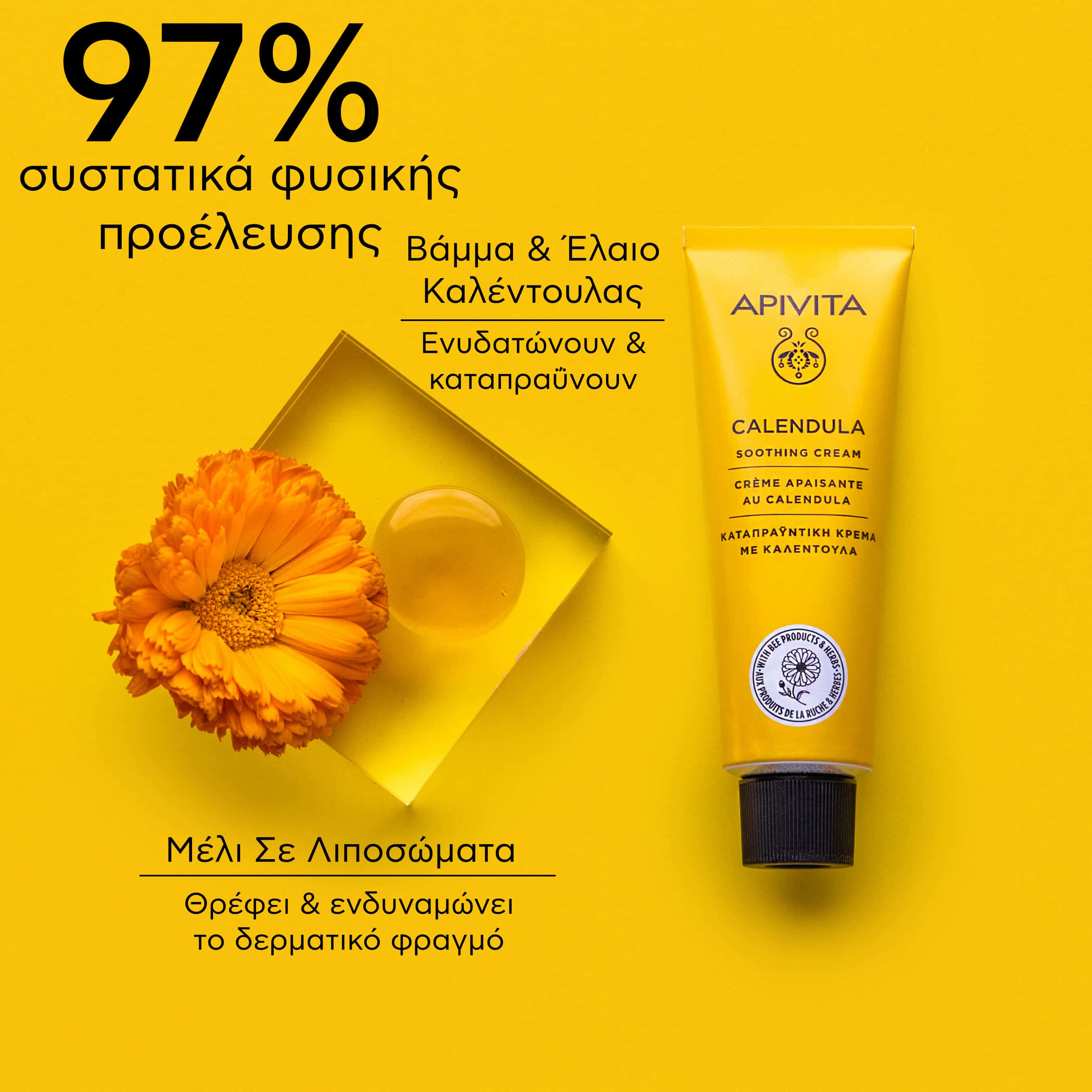 APIVITA - Καταπραυντική Κρέμα με Καλέντουλα - 50ml