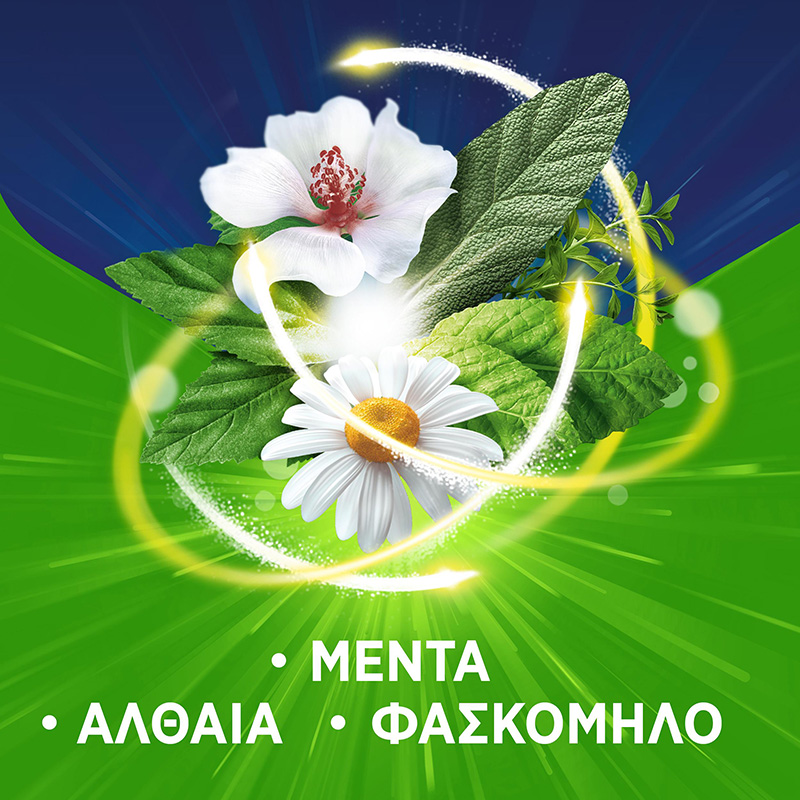 PAN NATURAL - COUGH Παστίλιες για τον ερεθισμένο λαιμό & τον βήχα (γεύση βατόμουρο) - 16τεμ.