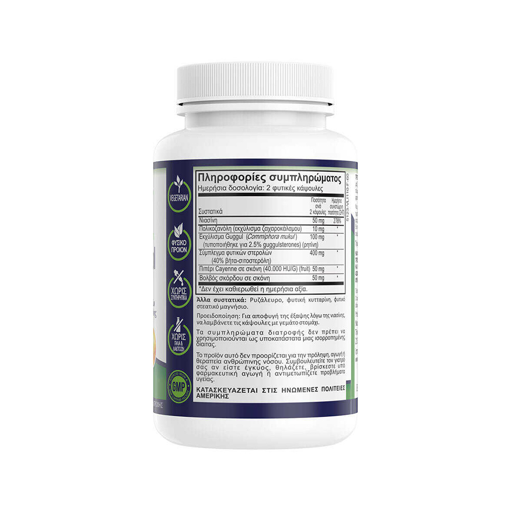 NATURAL VITAMINS - Cholesterol Formula - 60caps