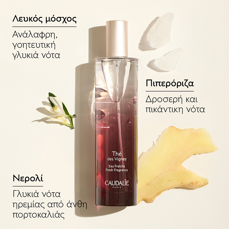 CAUDALIE - PROMO PACK THE DES VIGNES Eau Fraiche - 50ml ΜΕ ΔΩΡΟ Αρωματικό κερί - 35g & Gel Douche - 50ml
