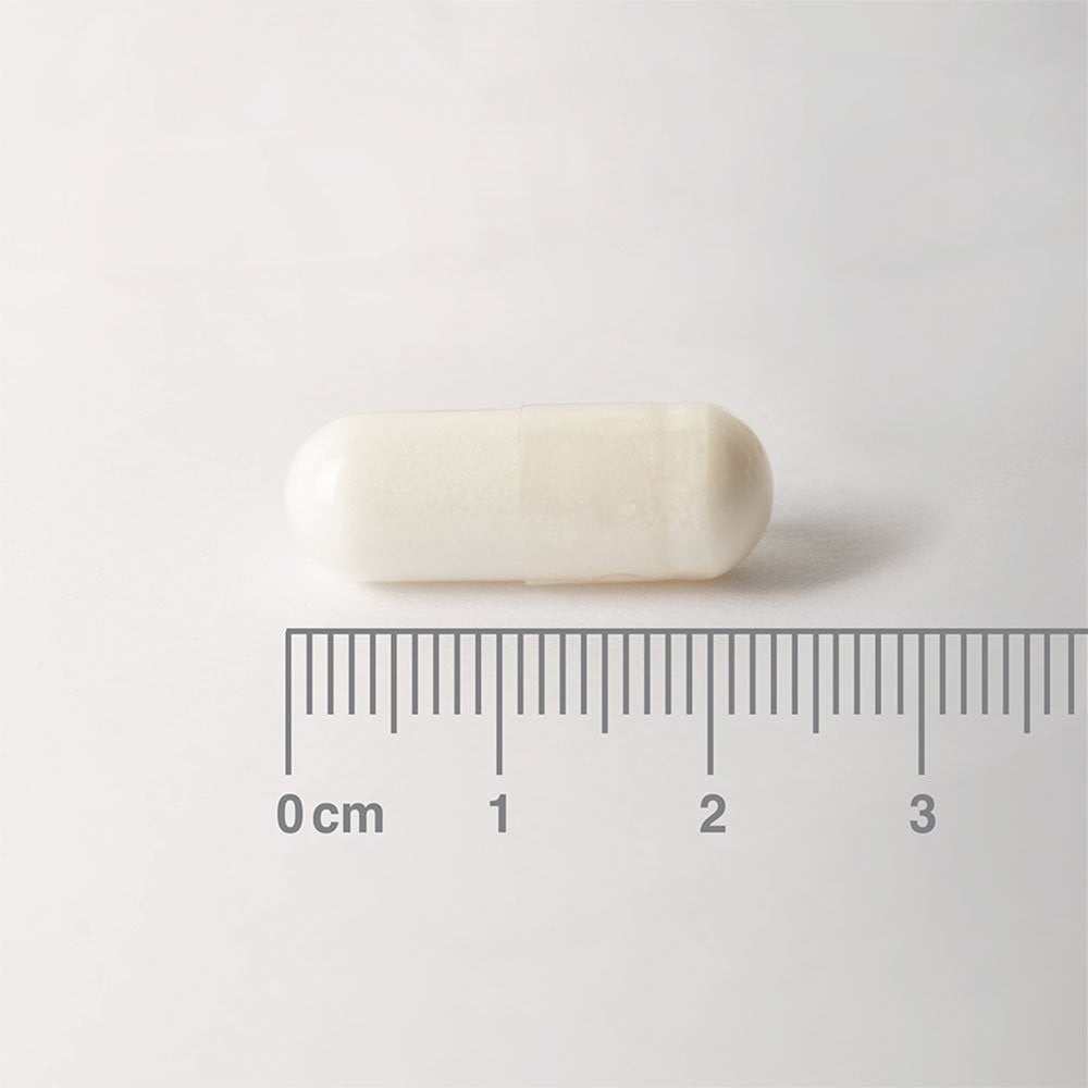 LAMBERTS - L-Carnitine 500mg - 60caps