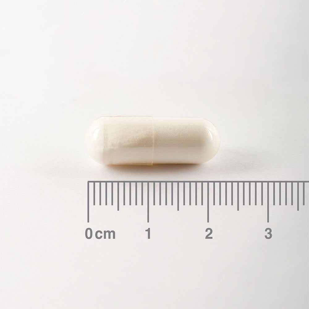LAMBERTS - L-Glutamine 500mg - 90caps
