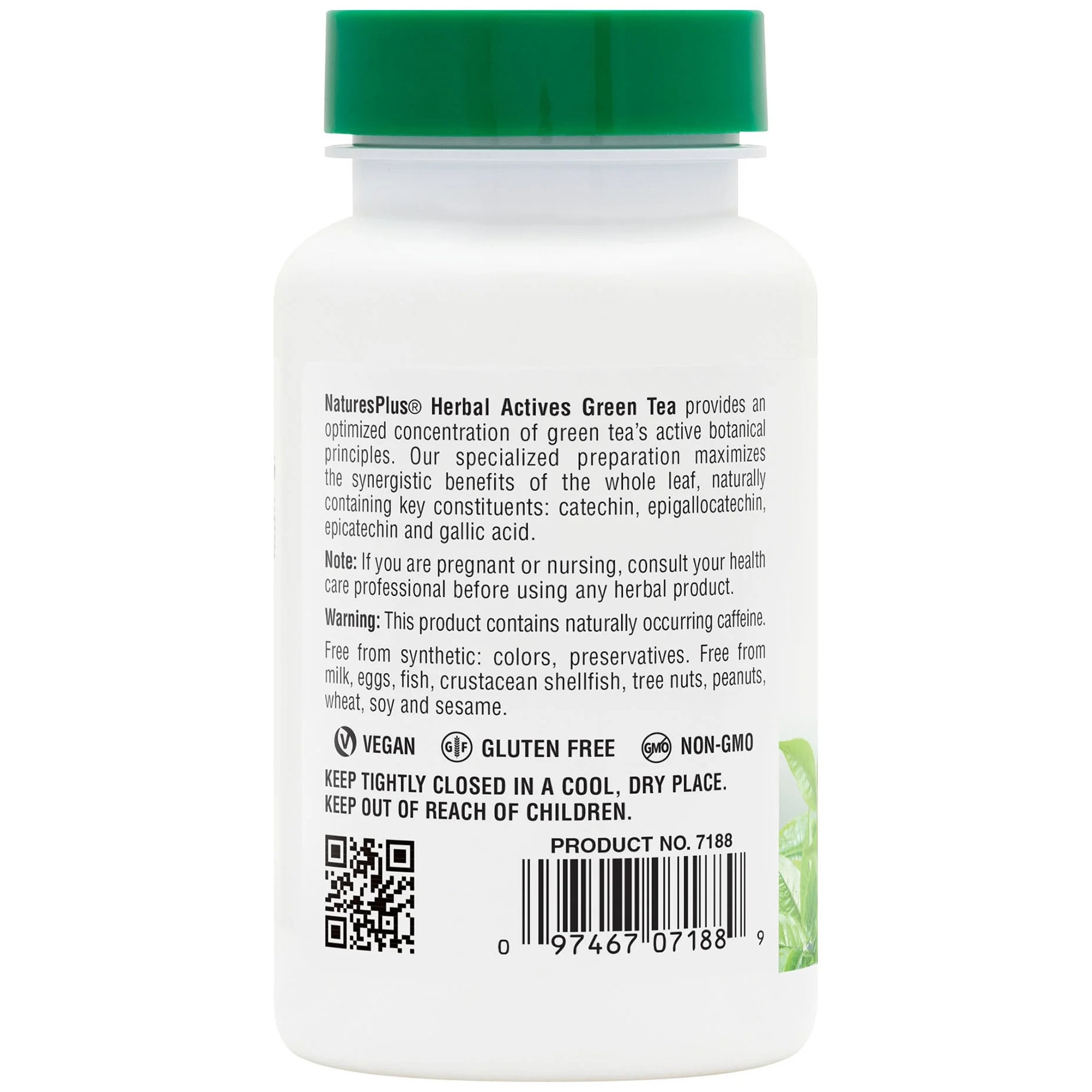NATURES PLUS - HERBAL ACTIVES Chinese Green Tea 400mg - 60caps