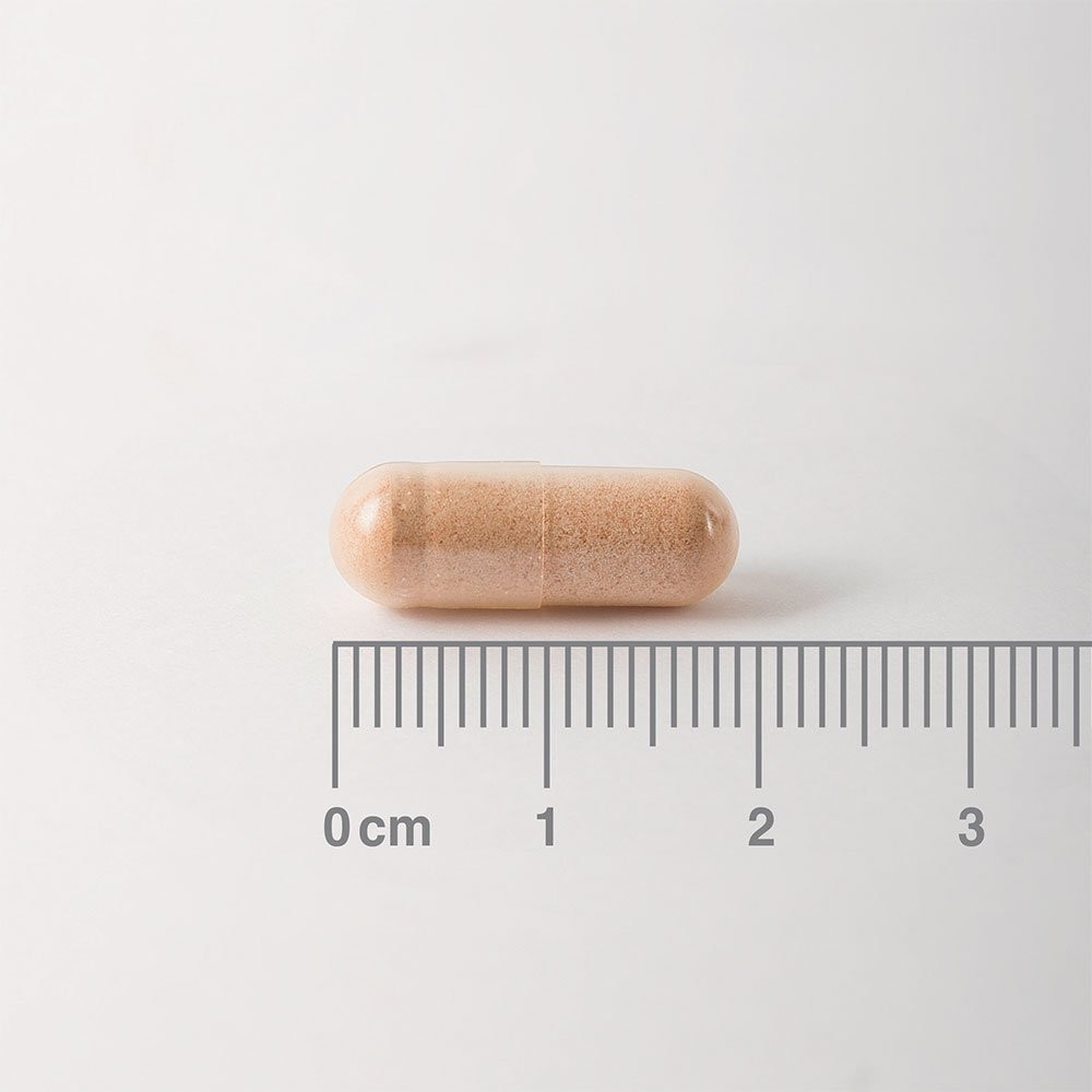 LAMBERTS - Pycnogenol 40mg - 60caps