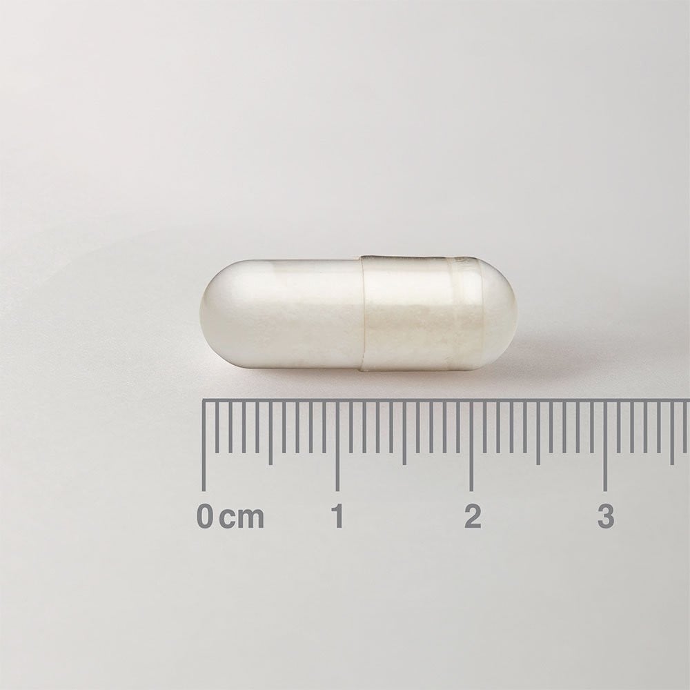 LAMBERTS - Acetyl L-Carnitine 500mg - 60caps