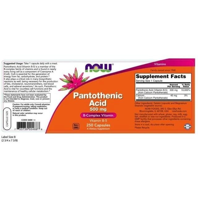 NOW - Pantothenic Acid 500mg - 100caps