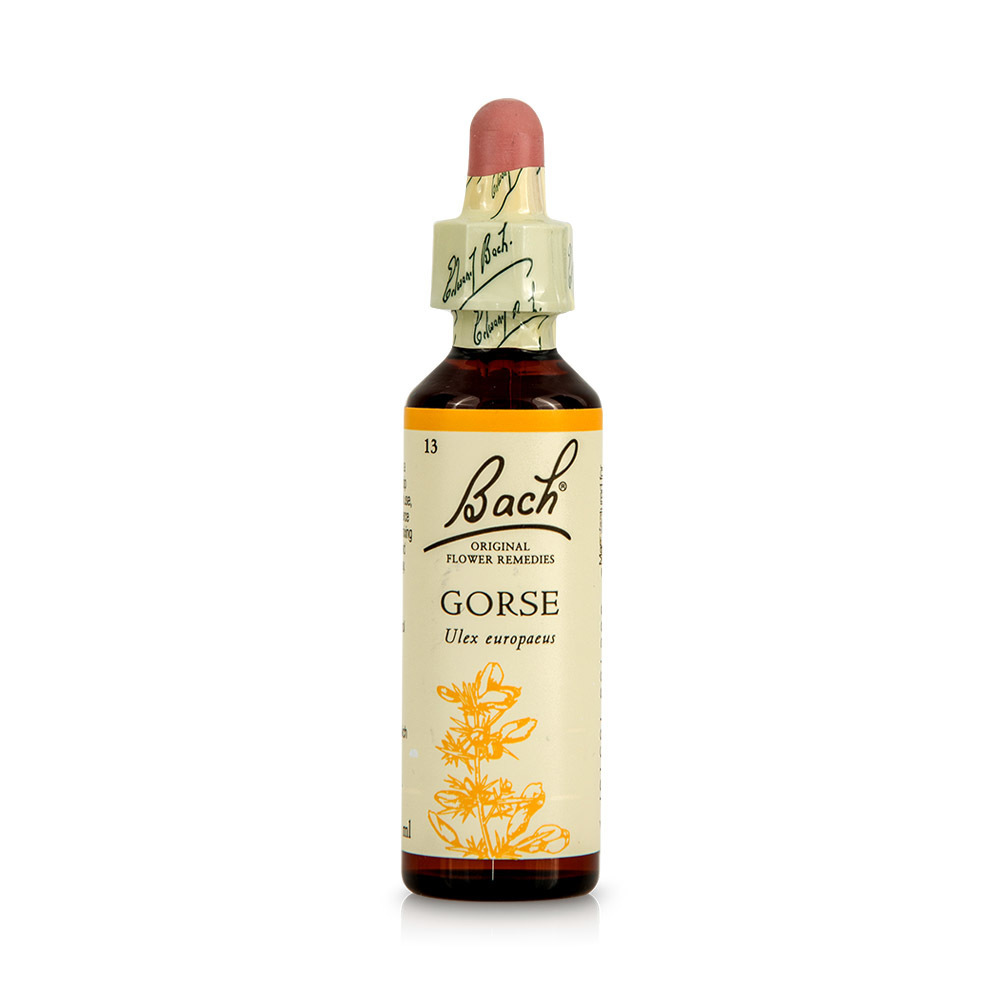 POWER HEALTH - BACH Gorse - 20ml