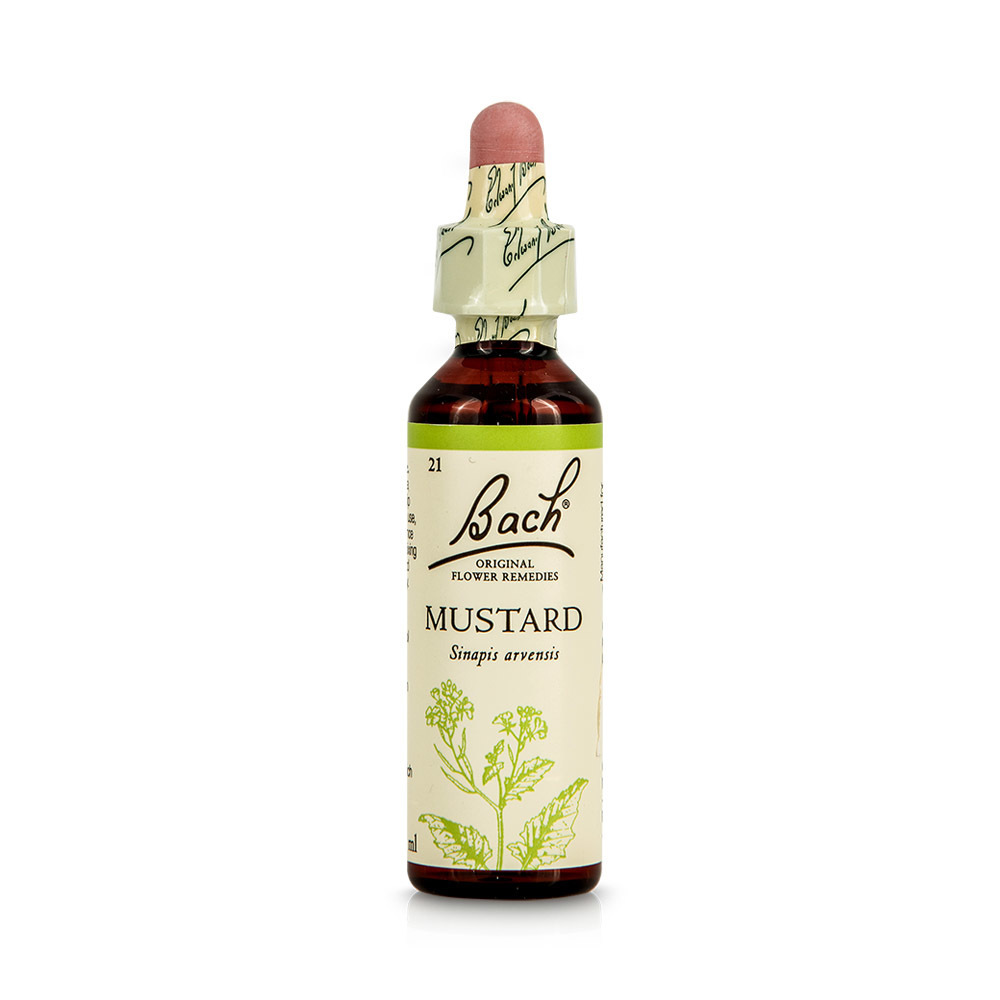POWER HEALTH - BACH Mustard - 20ml