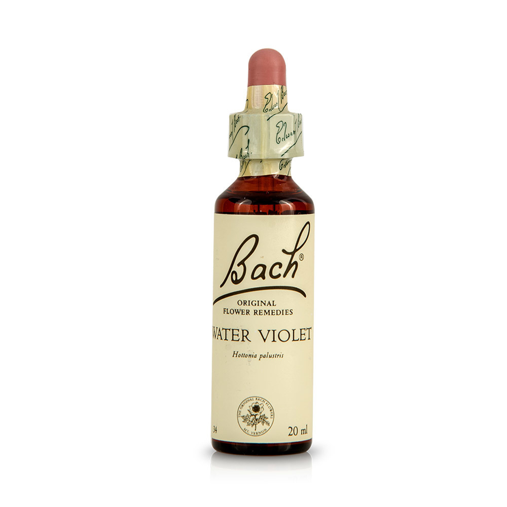 POWER HEALTH - BACH Water Violet - 20ml