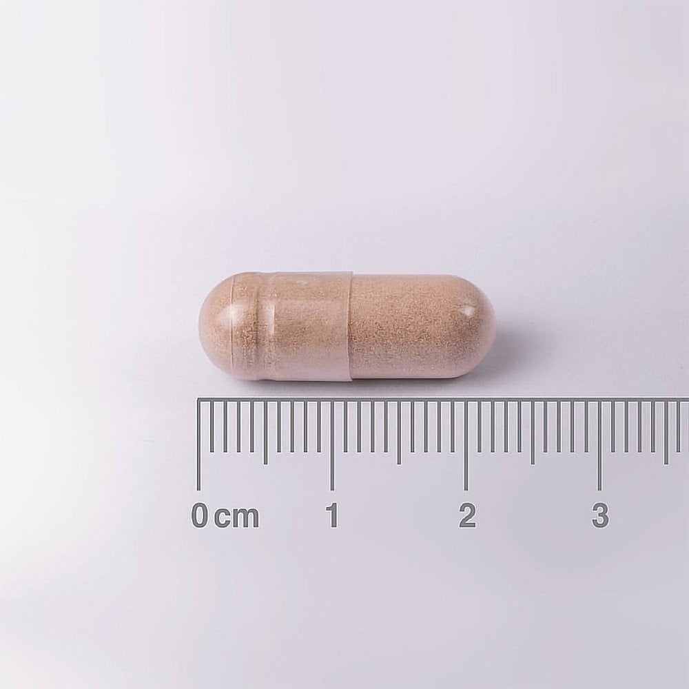 LAMBERTS - Vegan L-Theanine 200mg (fast release) - 60tabs