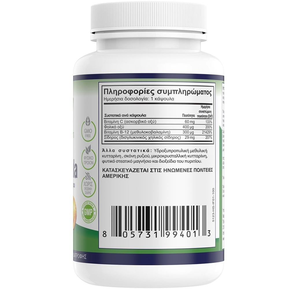 NATURAL VITAMINS - Vegan Chelate Iron Formula - 100caps