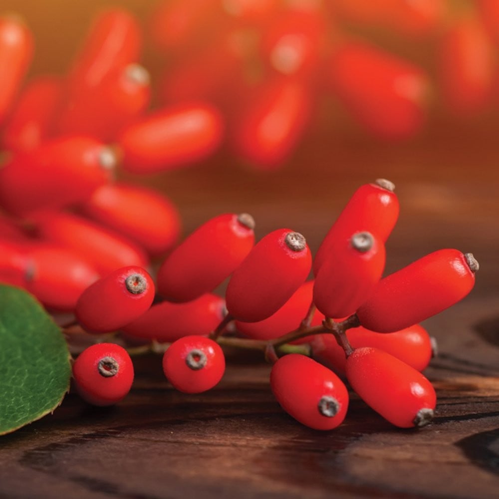 OLONEA - BERBEMAX Berberine Complex - 30caps
